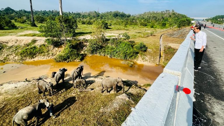 Tegas! Jokowi Ingatkan Pembangunan Infrastruktur Harus Ramah Lingkungan