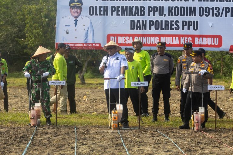 Optimalkan Lahan untuk Ketahanan Pangan, Pj Bupati PPU Tanam Jagung Perdana bersama TNI-Polri