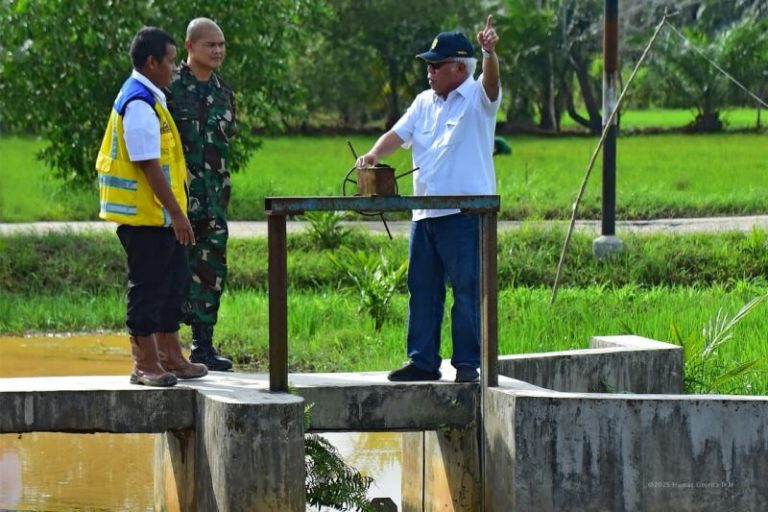 Kepala OIKN: Irigasi Rawa Sebakung Dukung Swasembada Pangan