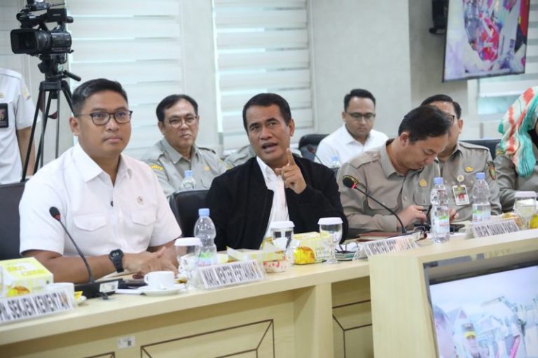 Mentan: Efisiensi Anggaran Tidak Hambat Program Swasembada Pangan