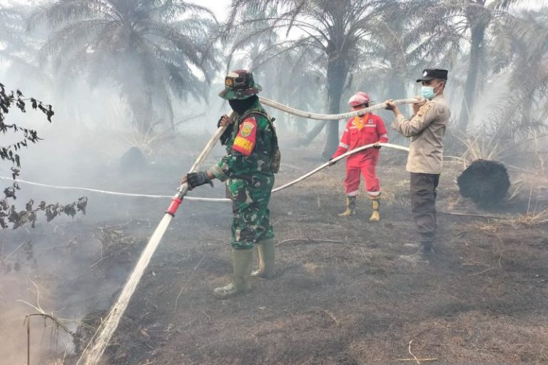 Karhutla di Jambi Hanguskan 448 Hektare