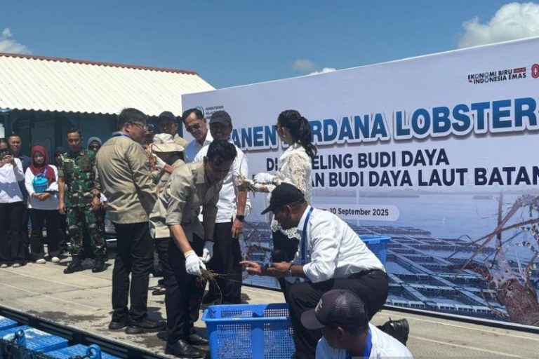 Cegah Penyelundupan, Gibran Tekankan Pentingnya Perpres Satgas Lobster