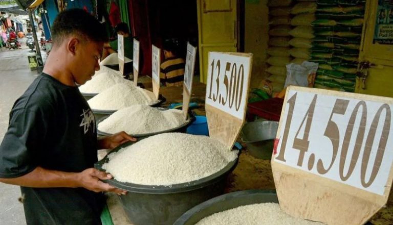 Stabilitas Pangan Membaik, Bapanas Sebut Harga Beras Premium Turun