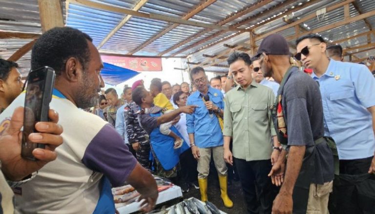 Wapres Gibran Tinjau PPI Hamadi, Papua Harap Sektor Perikanan Makin Kuat