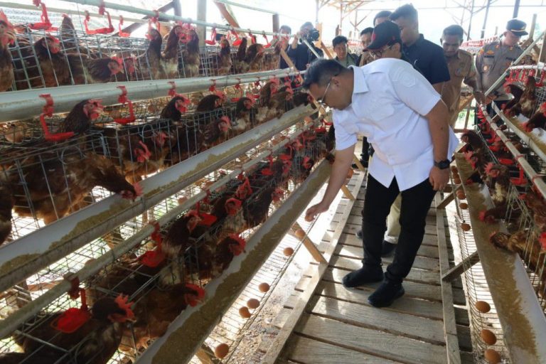 Desa Loa Duri Ilir Harumkan Kukar lewat Inovasi Telur Omega