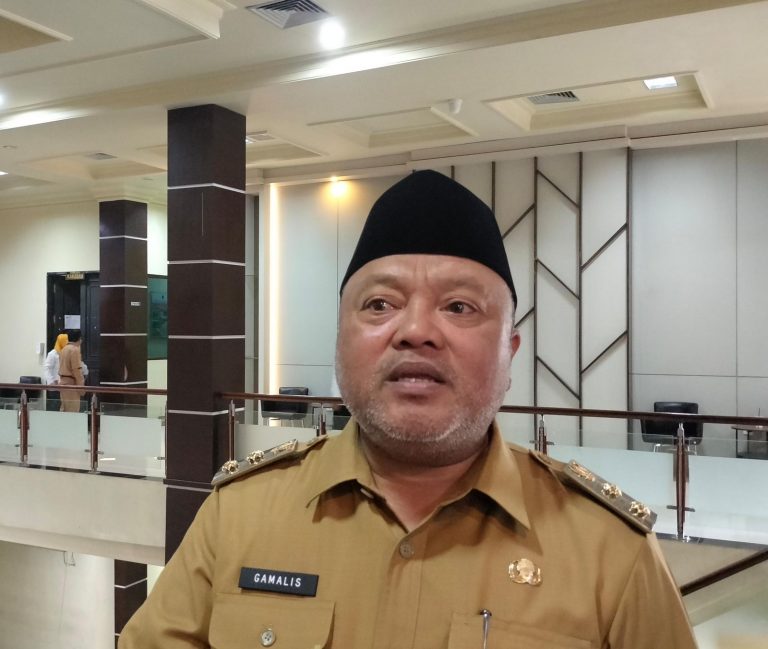 Gamalis Dorong UMKM Kampung Go Digital, Perluas Pasar Hingga Nasional