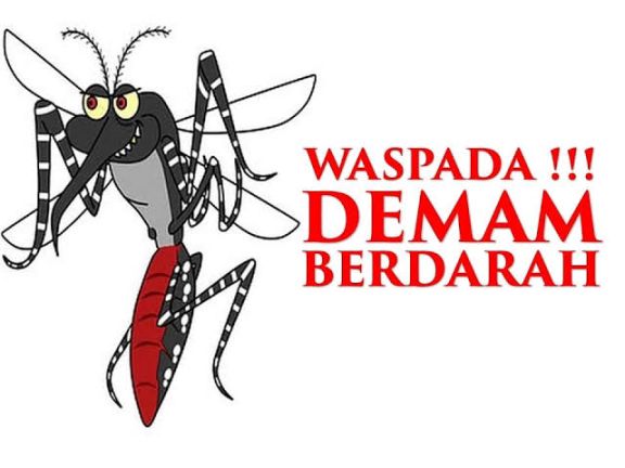 Kasus DBD di Kukar Naik Tajam, Dinkes Galakan Gerakan 3M Plus untuk Cegah Kematian