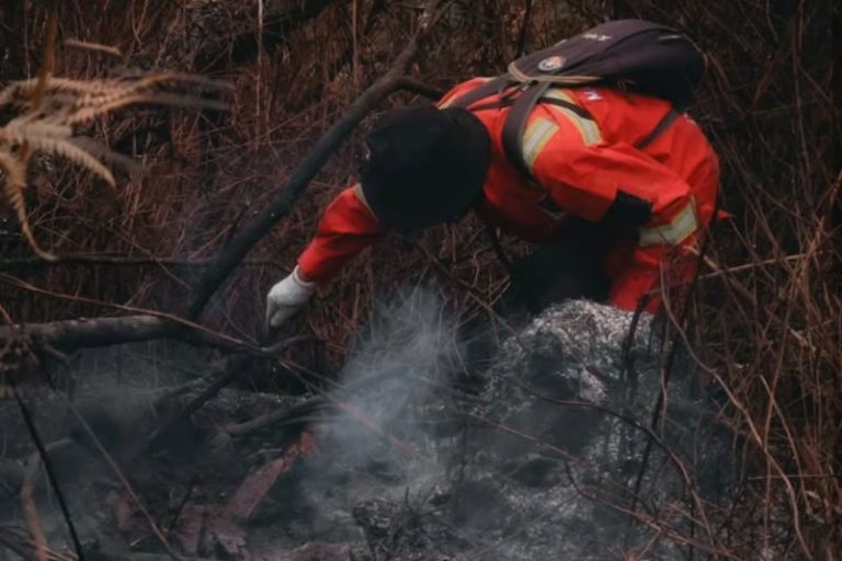 Kebakaran di Gunung Rinjani, 36 Hektare Hutan Hangus Terbakar