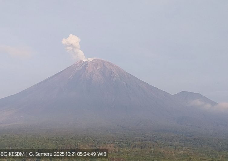 Gunung Semeru Enam Kali Erupsi, Kolom Abu Capai 700 Meter