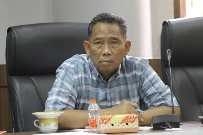 Lampu Hias Bernuansa Penyu Dipuji, Tapi Terang Jalannya Dinilai Belum Maksimal