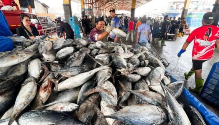 KKP Prioritaskan Perizinan Penangkapan Ikan bagi Nelayan Terdampak Bencana