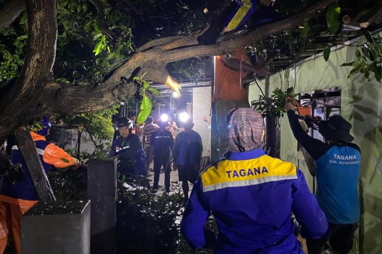 Angin Puting Beliung Terjang Dua Desa di Situbondo, Puluhan Rumah Rusak