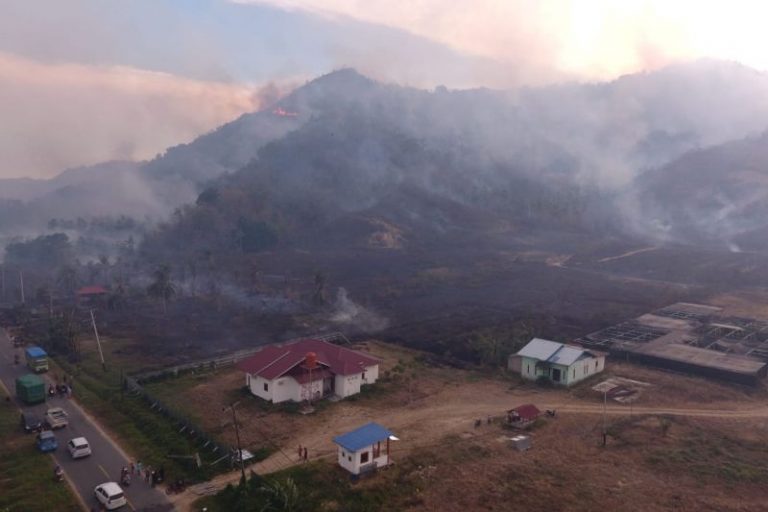 Karhutla Parigi Moutong Hanguskan 20 Hektare Kebun Warga