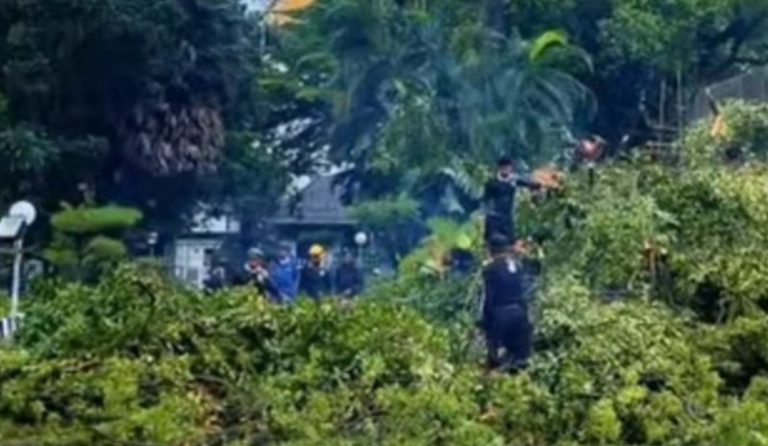 Makassar Siaga Cuaca Ekstrem, 102 Pohon Tumbang Sejak Januari 2026