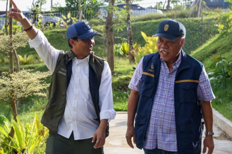 1.805 Hektare Hutan IKN Direhabilitasi, Satwa Mulai Kembali Berdatangan