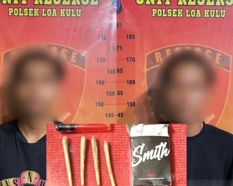 Bawa Empat Linting Ganja, Dua Pemuda Loa Kulu Diciduk Polisi