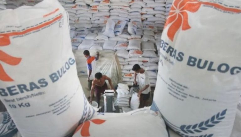 Pemerintah Klaim Stok Beras Surplus, Ketersediaan Capai 47,1 Juta Ton