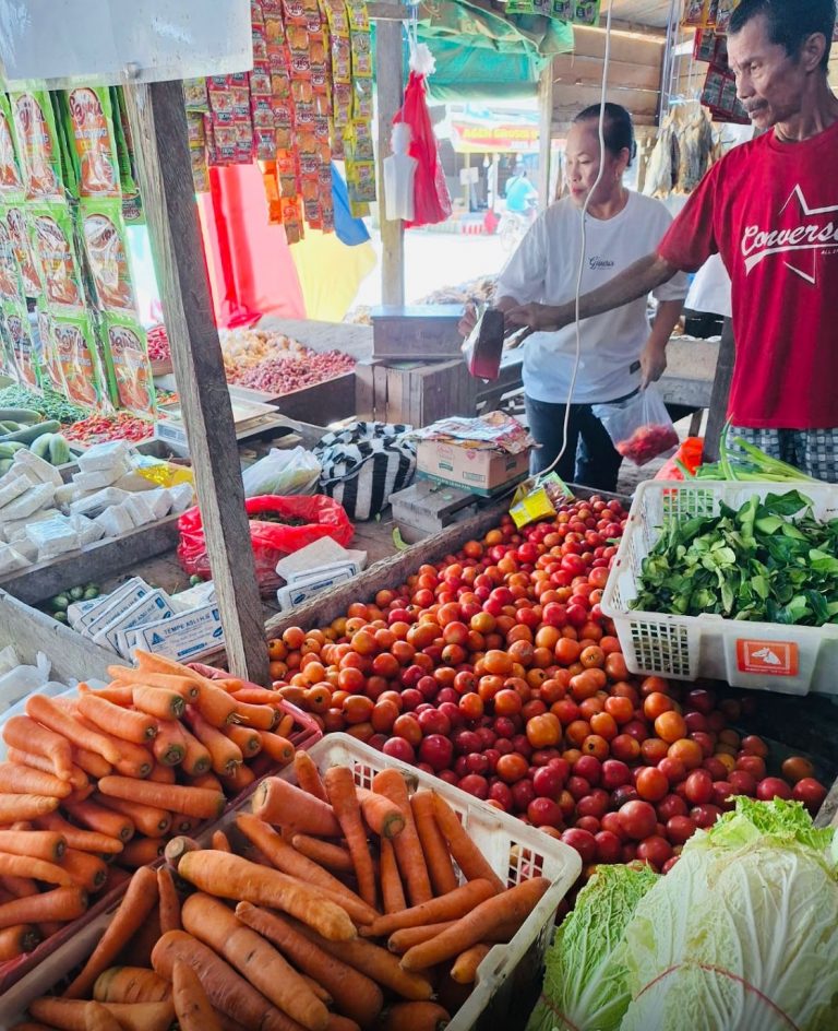 Harga Cabai Turun, Tomat dan Bawang Merah Justru Naik di Sepaku