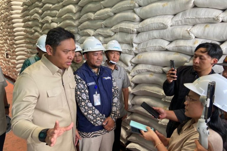 Wamentan: Stok Beras Pemerintah Tembus 5 Juta Ton, Tertinggi Sepanjang Sejarah