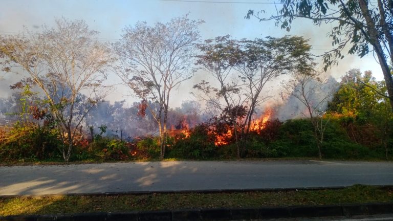 Asap Tebal Selimuti Lokasi Kebakaran Lahan di Bontang Lestari