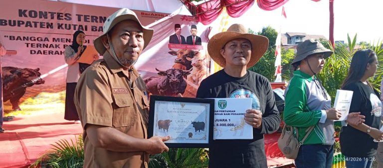 Peternak Kutai Barat Borong Gelar Juara Kontes Ternak 2026