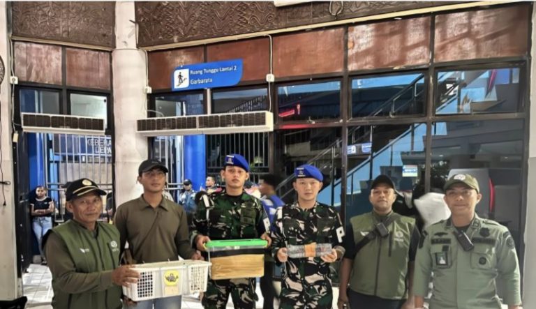 Delapan Satwa Dilindungi Disita dari Kapal Penumpang di Sorong