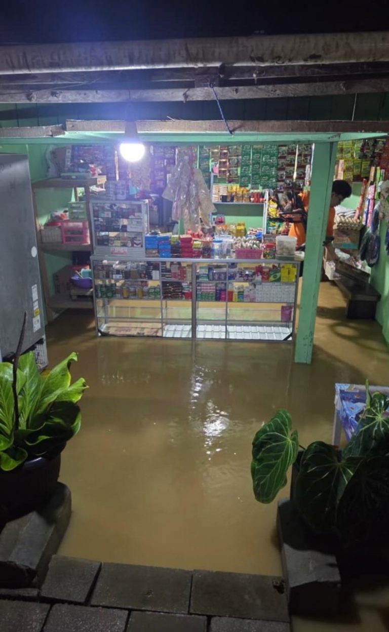 Hujan Disertai Petir dan Angin Picu Banjir di Sepaku