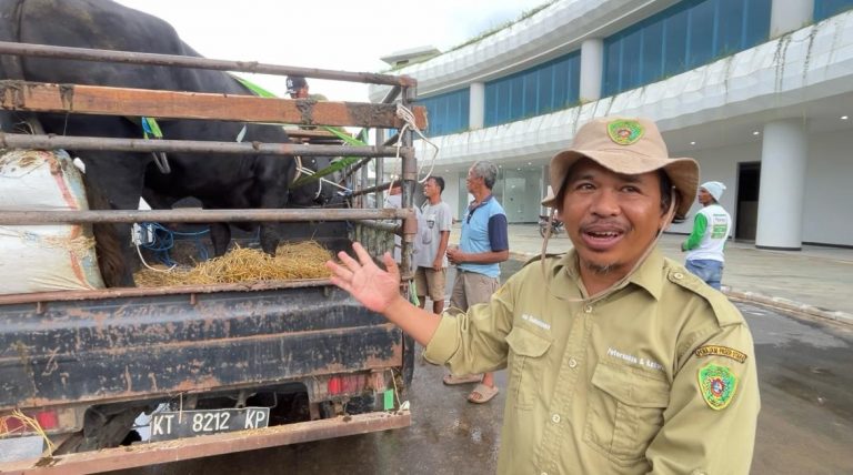 Pos Keswan Sepaku Pastikan Seluruh Hewan Kurban Layak Konsumsi