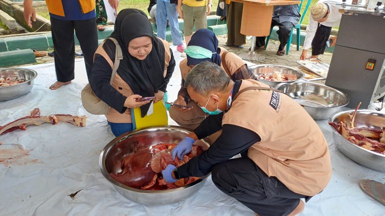 Disnak Keswan Kaltim Bentuk Tim Khusus Pengawasan Kurban