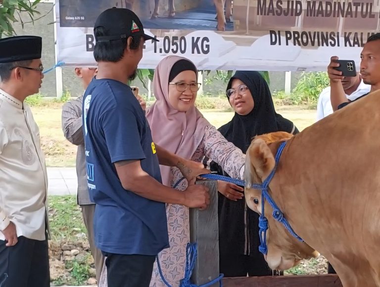Penyembelihan Hewan Kurban Presiden RI Jadi Perhatian DKP3 Balikpapan