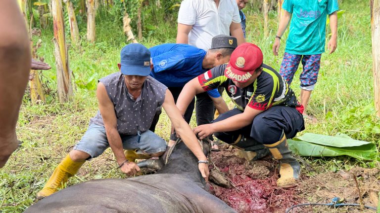ITS Samarinda Libatkan Banyak Mitra dalam Program Kurban 2026