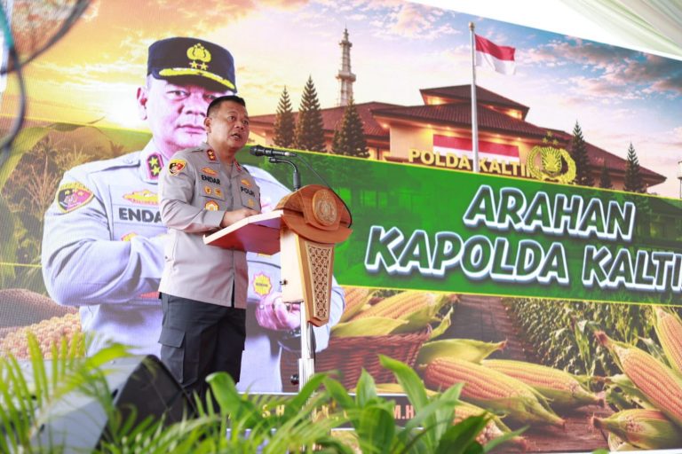 Eks Tambang KPC Kini Hijau oleh Jagung Lewat Kolaborasi Banyak Pihak