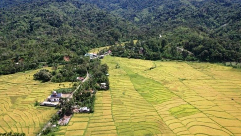 Warga Beutong Ateuh Surati Prabowo, Tolak Tambang Emas di Kawasan Hutan Pasca Banjir Bandang