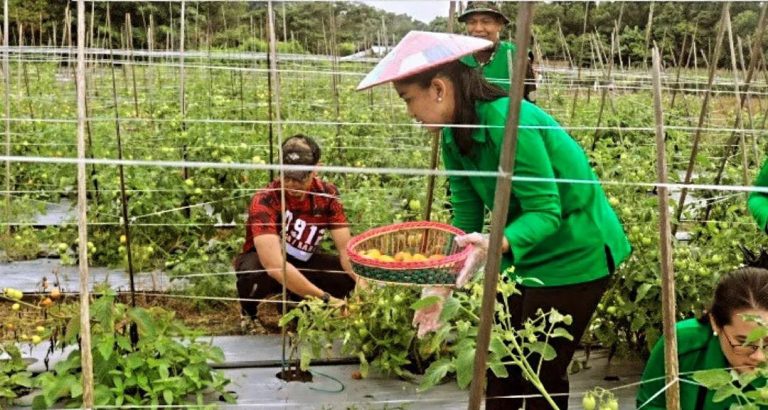 Program Pertanian Kodim Kubar Diharapkan Tingkatkan Produktivitas Anggota