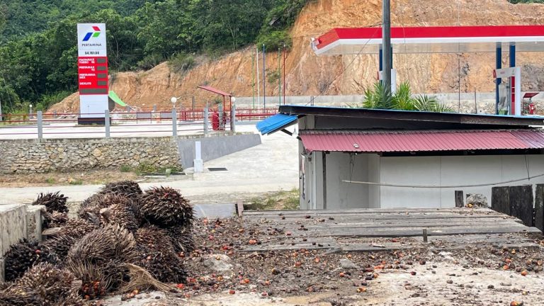 JPSN Khawatir Ekspor Satu Pintu Sawit Ulangi Kegagalan BPPC
