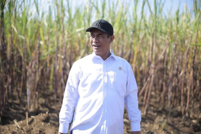 Mentan Amran Siap Wujudkan Swasembada Gula dalam 2 Tahun